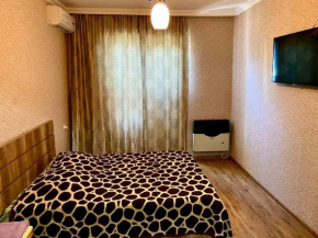Apartment in Kutaisi Agmashenebeli